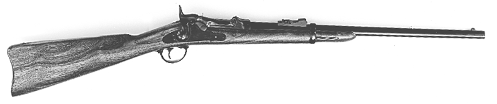 1873 Springfield Cavalry Carbine
