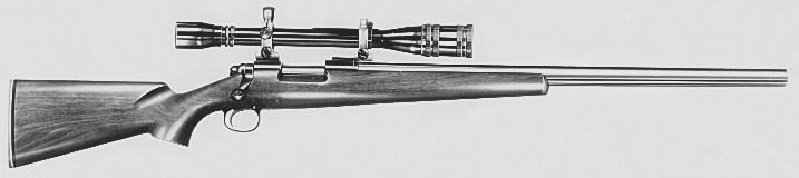 40X Target Rifle