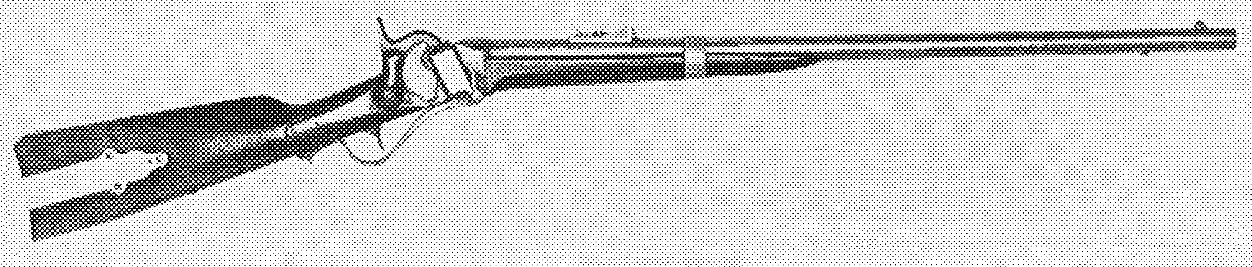 Model 1855 U.S. Navy Rifle
