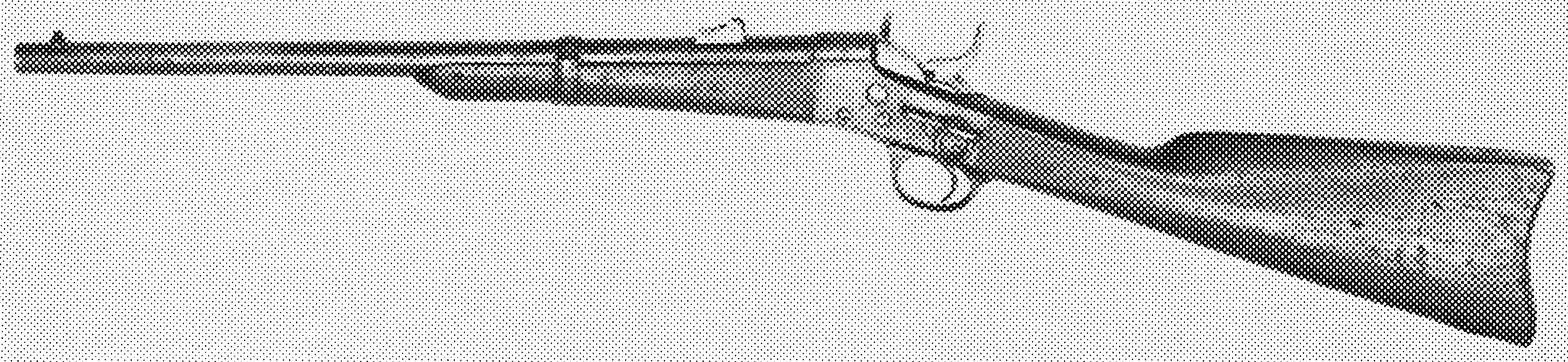 Phoenix Military Carbine