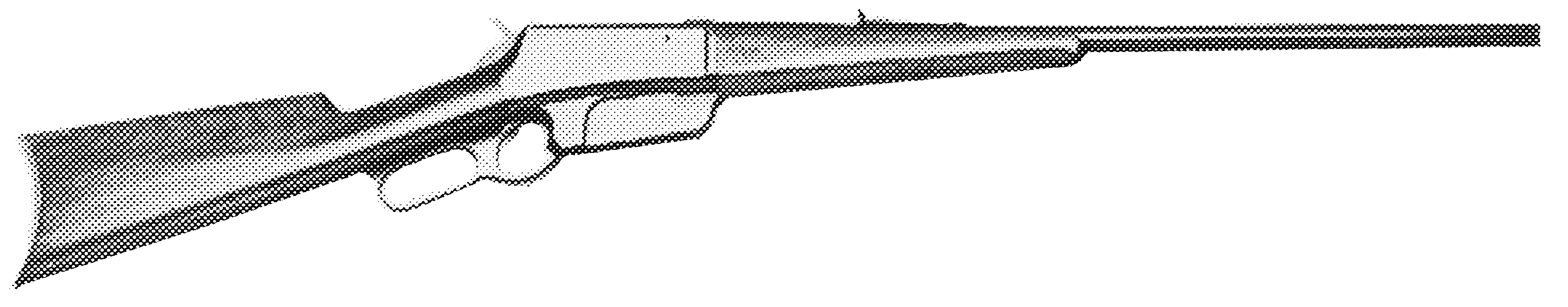 Sporting Rifle
