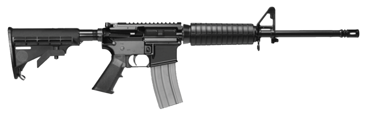 Echo Rifle