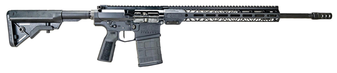 Sentinel AR-10 Rifles