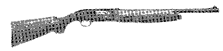 Model A-303 Slug Gun