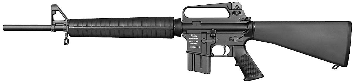 DS-AR DCM Rifle