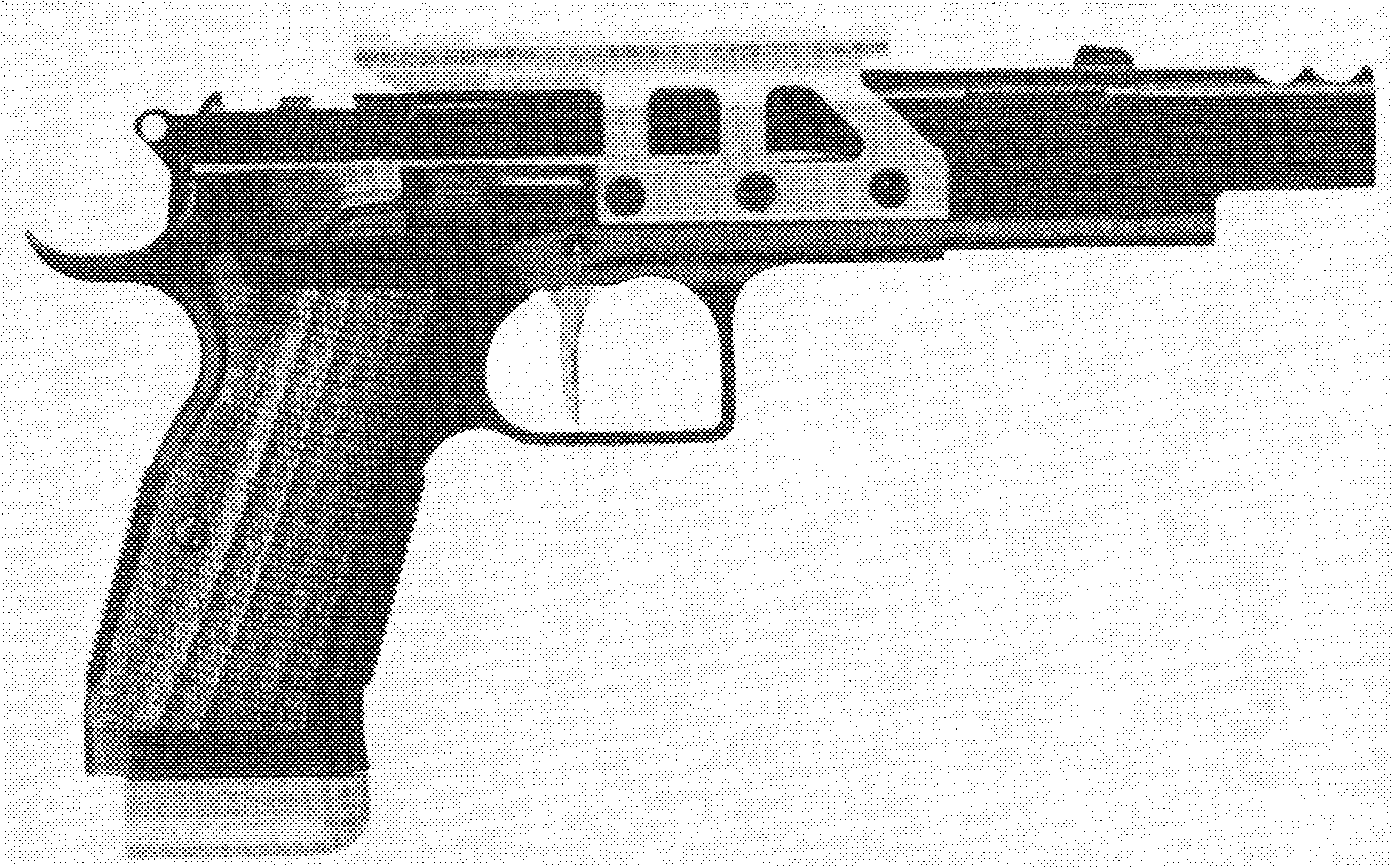 EAA Witness Multi Class Pistol Package