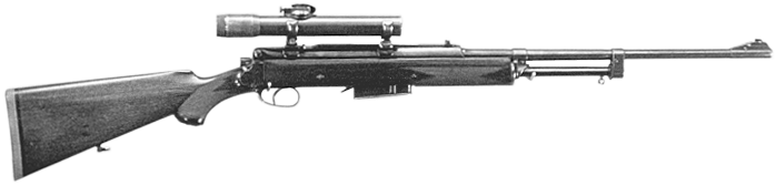 Holeck Rifle