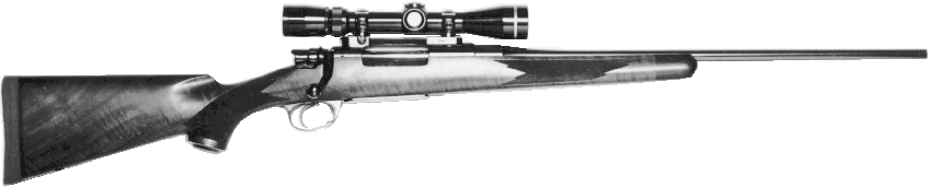 Bighorn Rifle