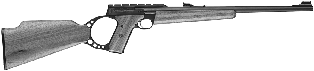 Buck Mark Rifle