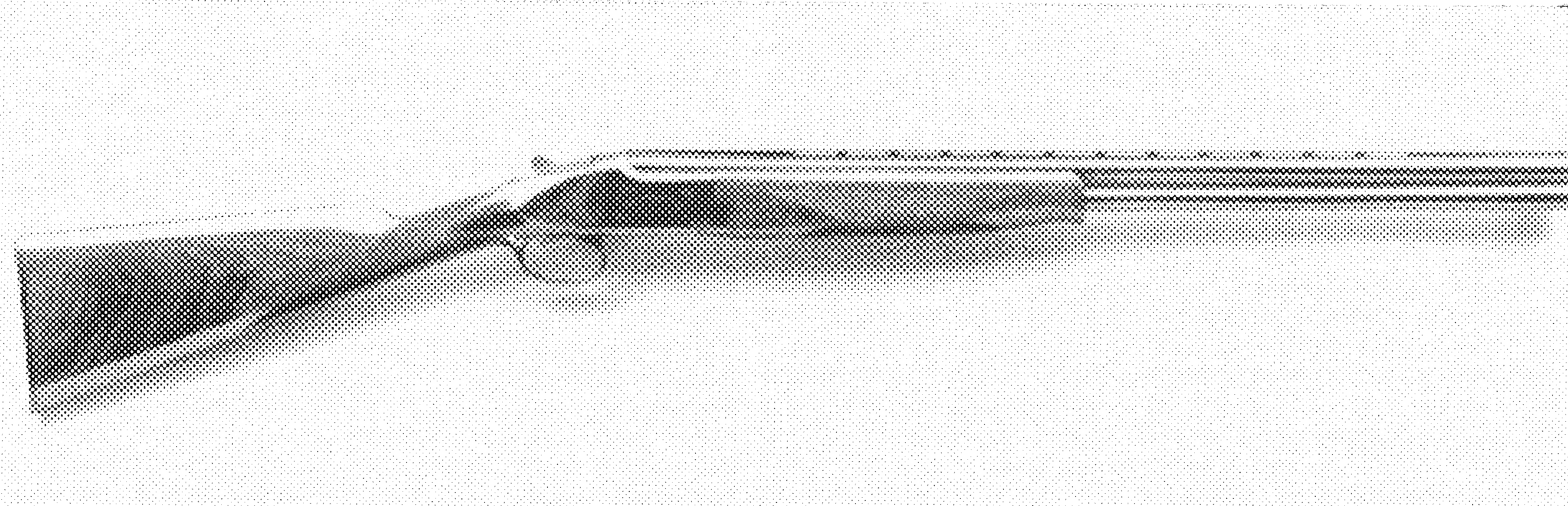 Citori Superlight