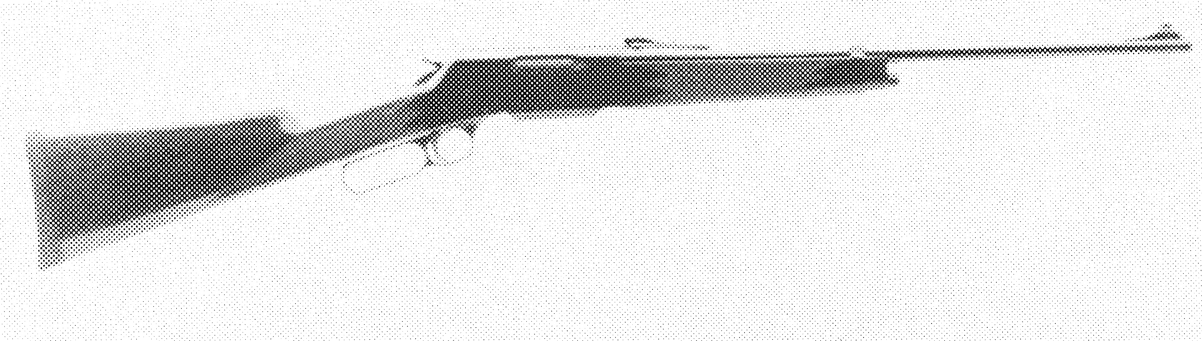 Model 81 BLR