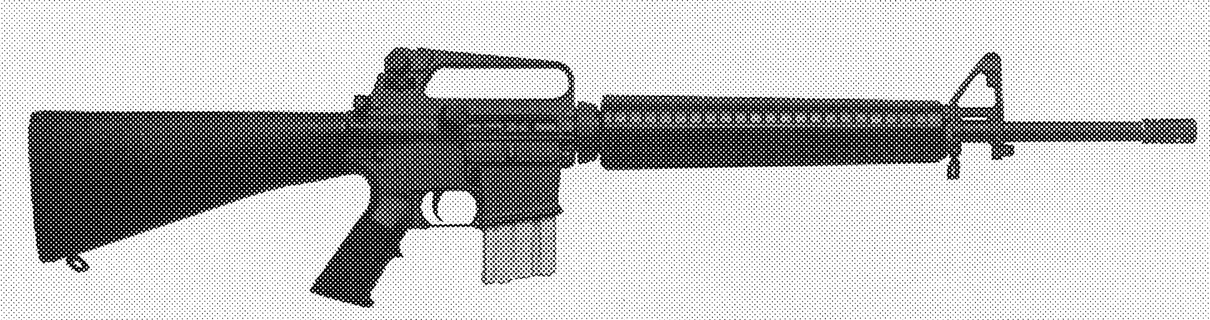 AR-15A2 Government Model (Model #6550)