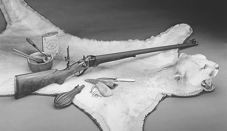 Antietam Sharps Rifle