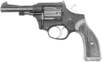 Kit Gun
