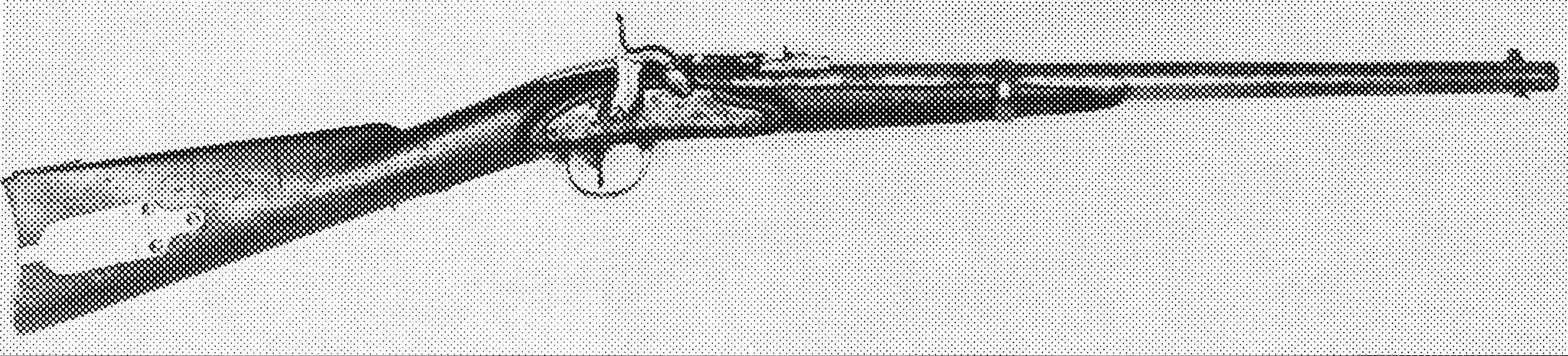 1st Type