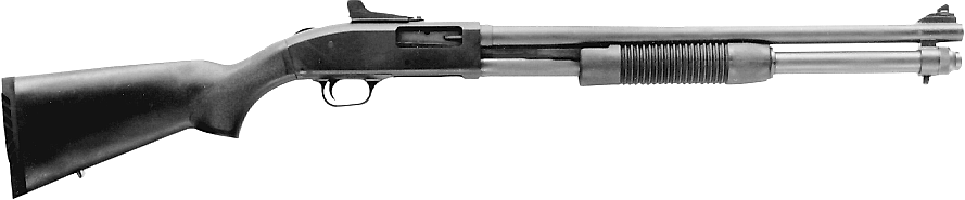 Model 590 Special Purpose