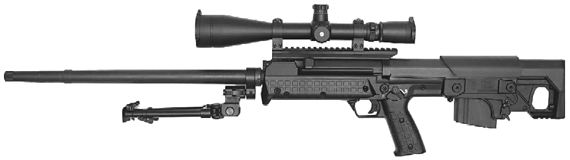 RFB Rifle