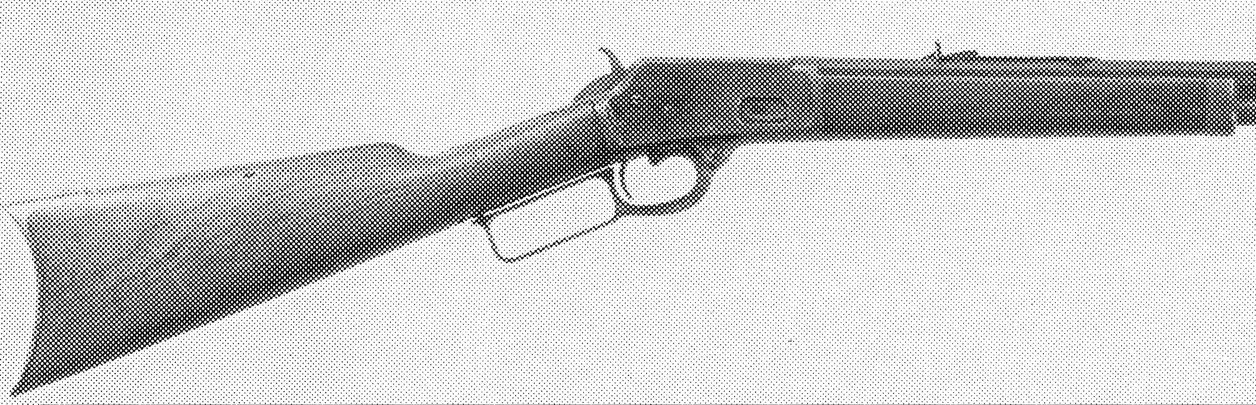 Model 1888 Lever-Action Rifle