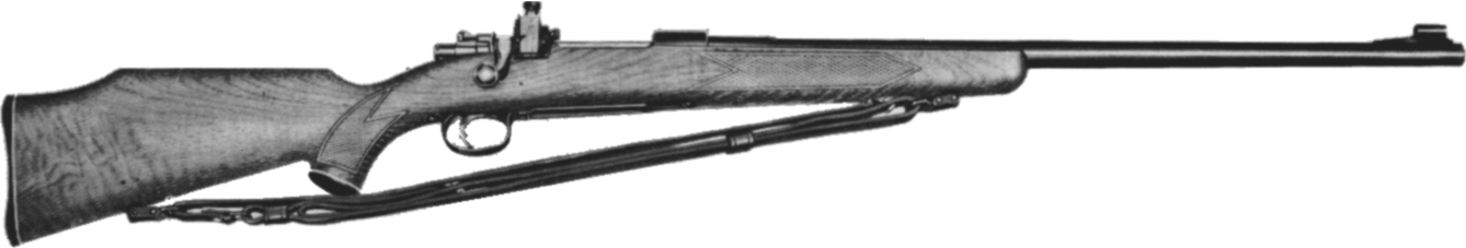 Model 455