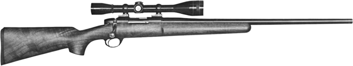 Model DGA Silhouette Rifle