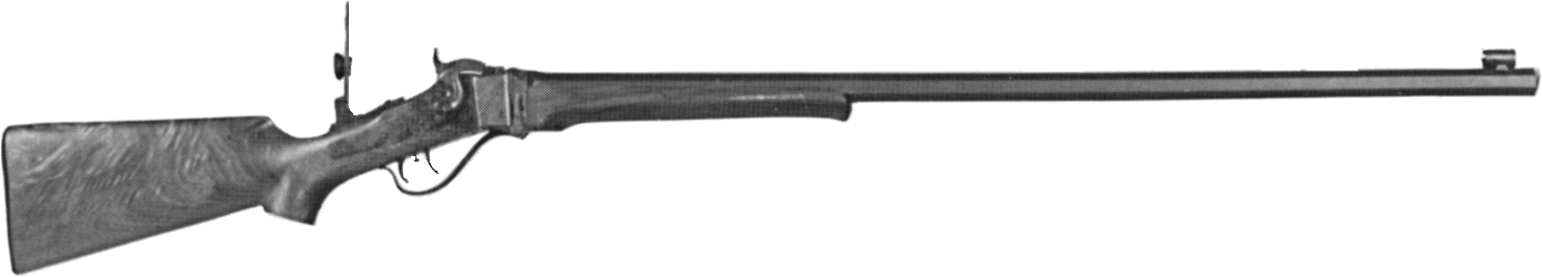 Model 1874 Long Range Express Rifle