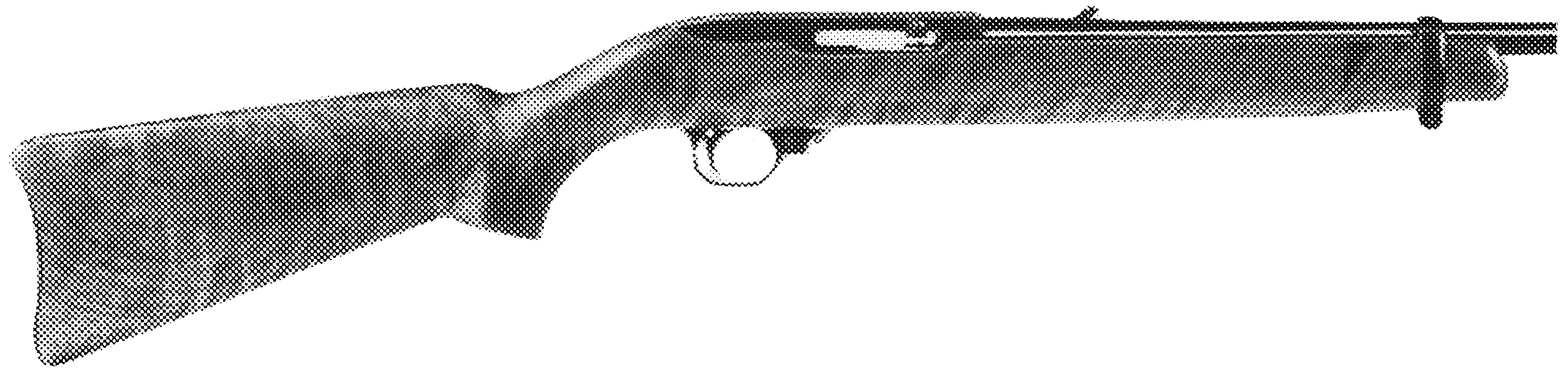 10/22 Standard Carbine With Walnut Stock