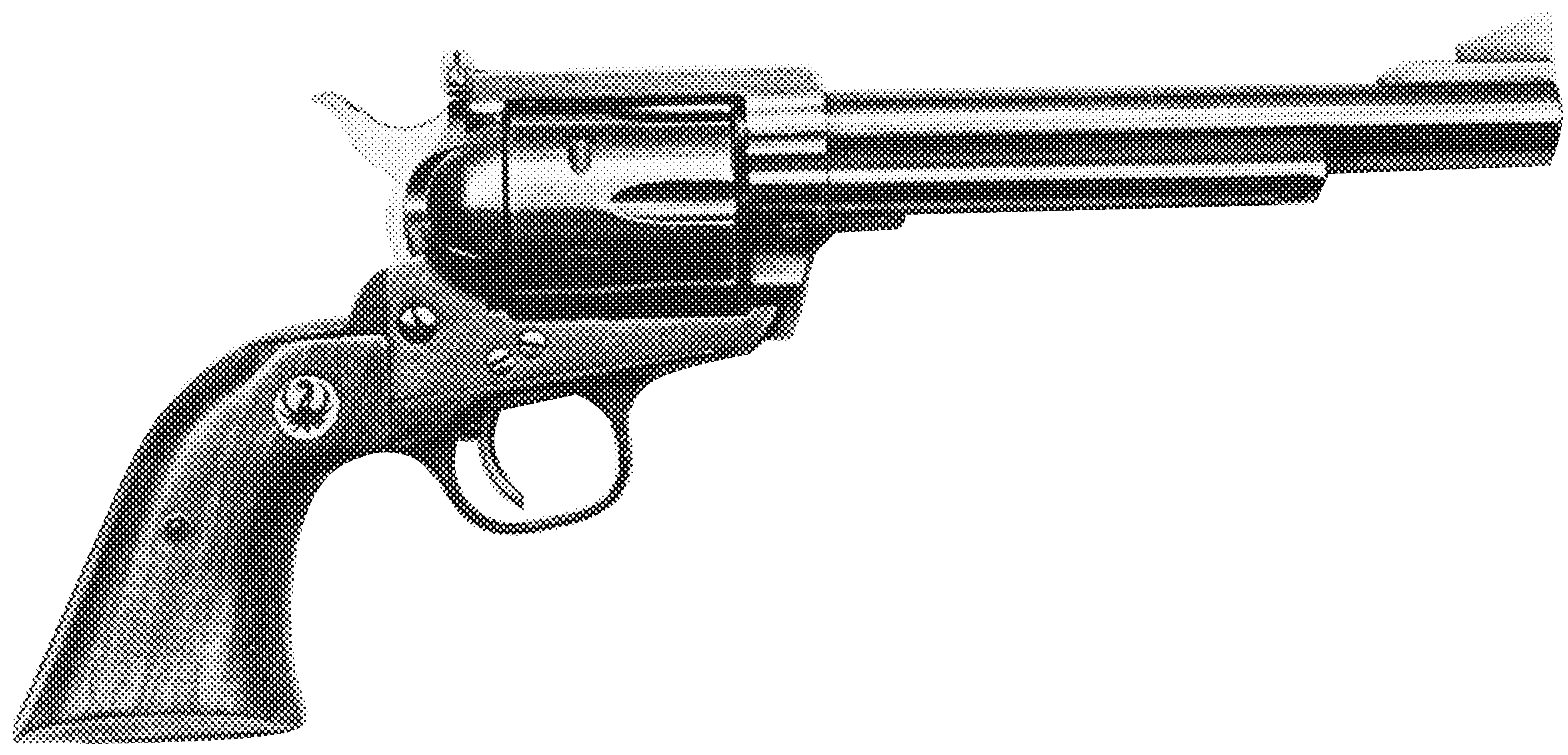 Blackhawk Flattop .44 Magnum