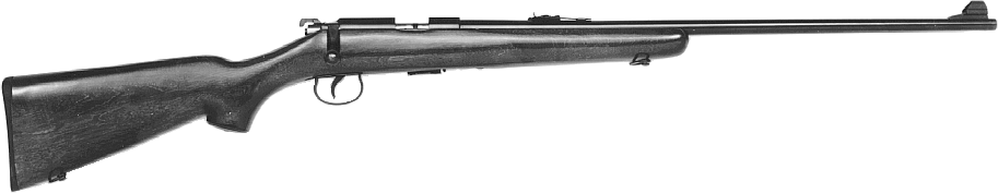 JW-15 Rifle