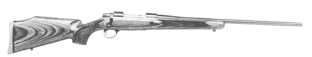 Laminated Model
