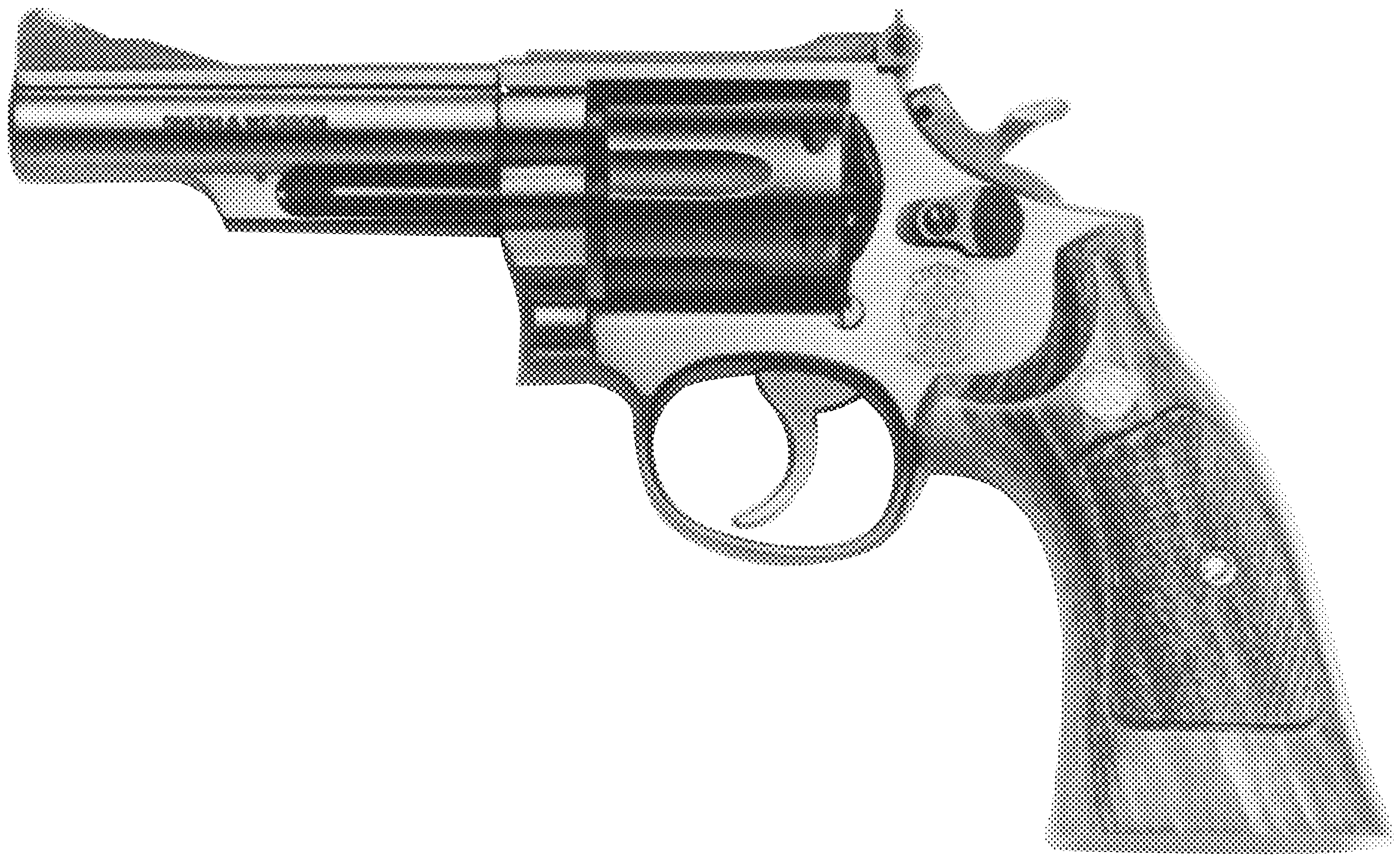 Model 19 (.357 Combat Magnum)