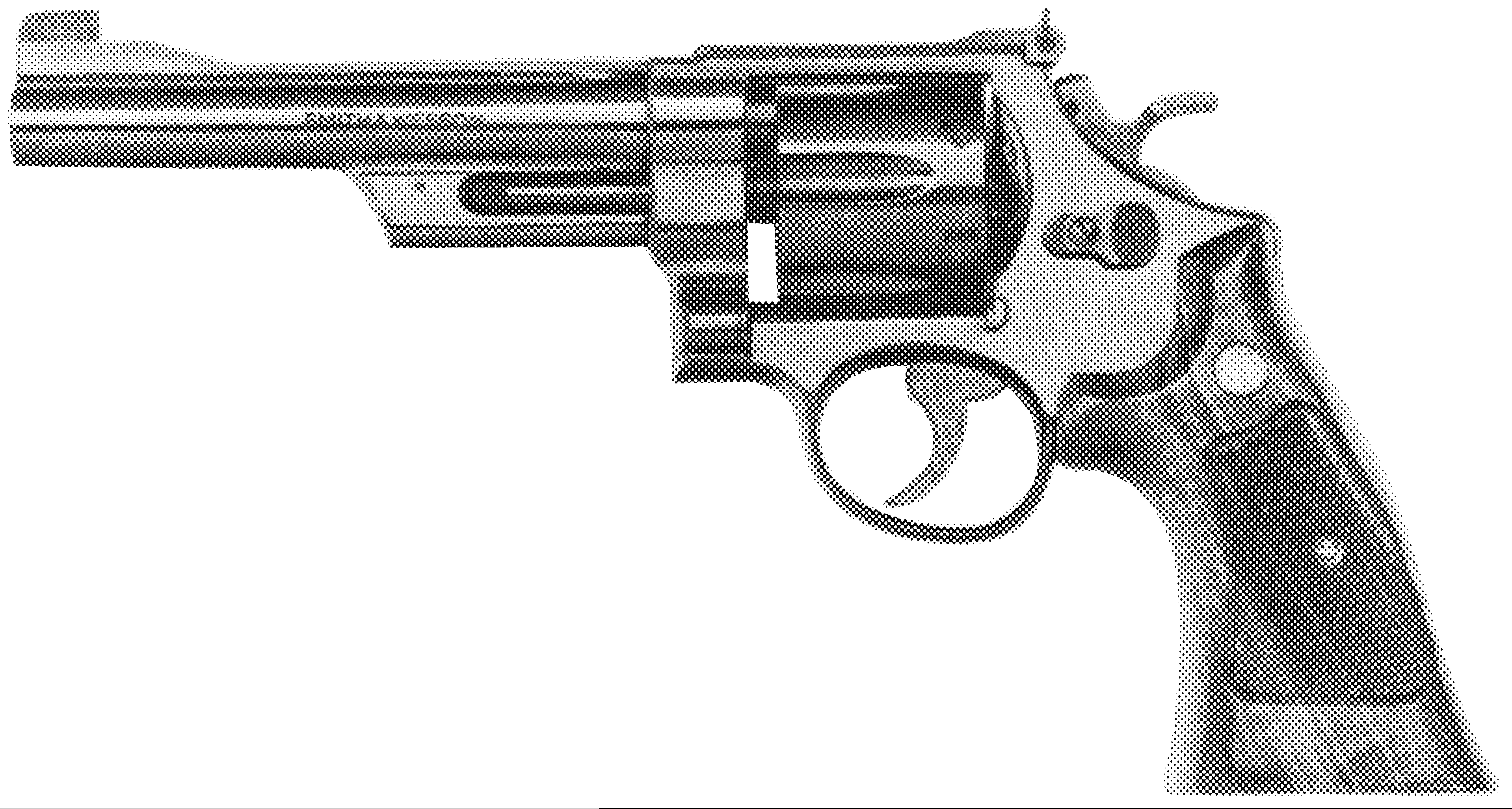 Model 27 (.357 Magnum)