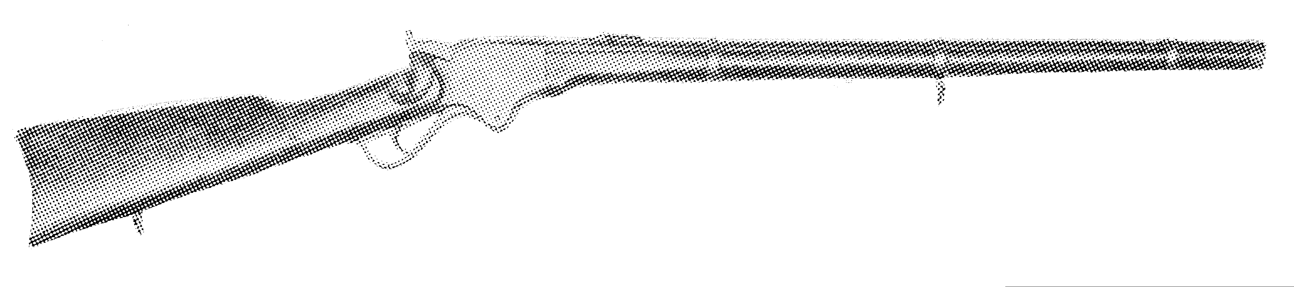 Model 1865 Carbine