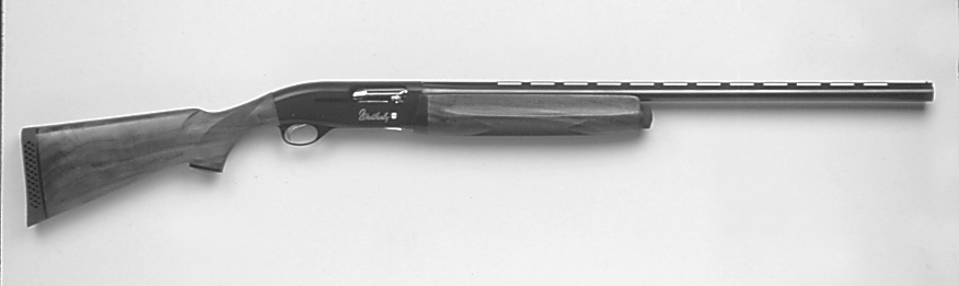 Model SAS Field