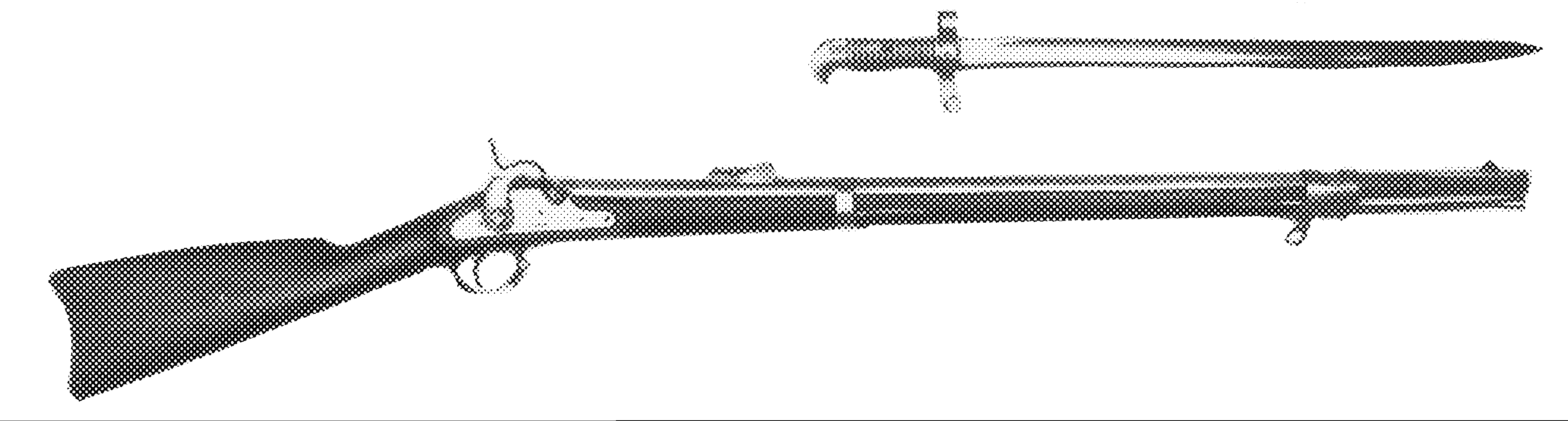 Whitney M1855 Rifle Derivative