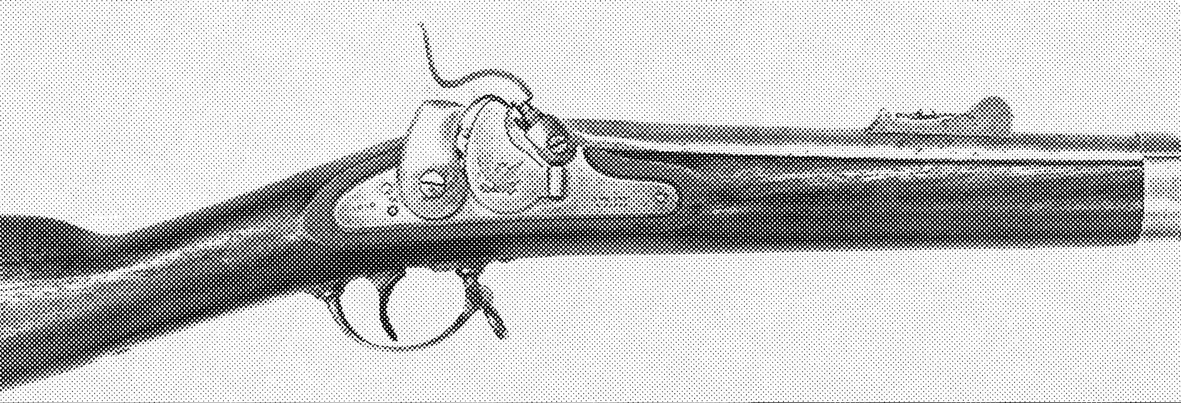 Whitney M1855 Rifle Derivative