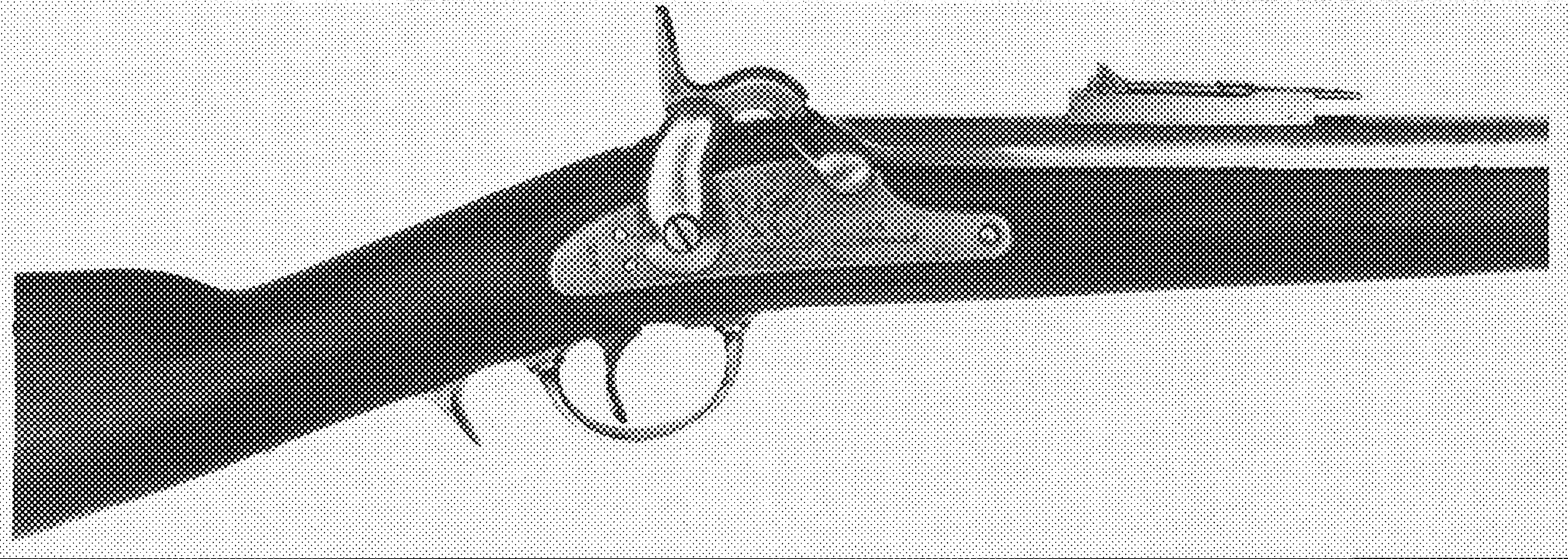 Whitney U.S. Navy Contract Rifle