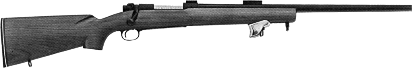 Model 70 Target Rifle
