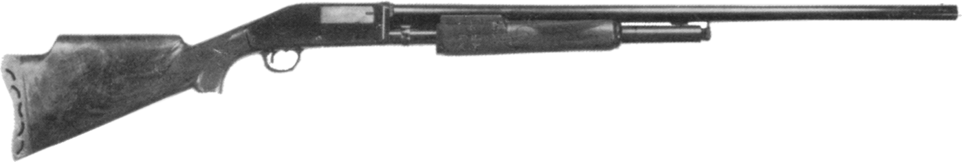 Model 43TS
