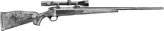 Omega Bolt-Action Rifle