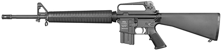 DS-AR Rifle