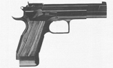 EAA Witness Limited Class Pistol