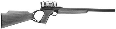 Buck Mark Rifle