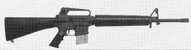 AR-15A2 Government Model (Model #6550)