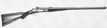 Double-Barrel Rifle