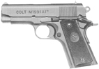 M1991A1 Compact