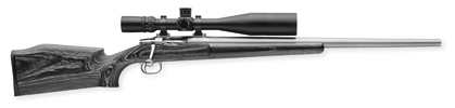 Varmint Rifles