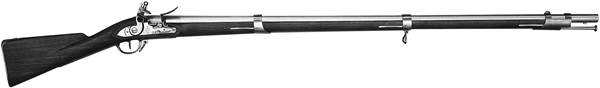 Springfield 1795 Musket