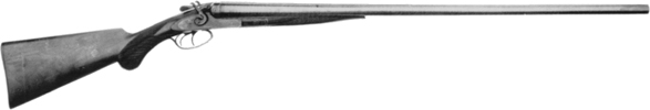 Model 1882 Shotgun