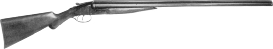 Model 1900 Shotgun