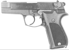 Model P88 Compact